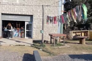 6600 Cerveza de Autor