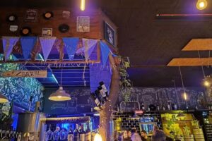 6740 cerveza artesanal