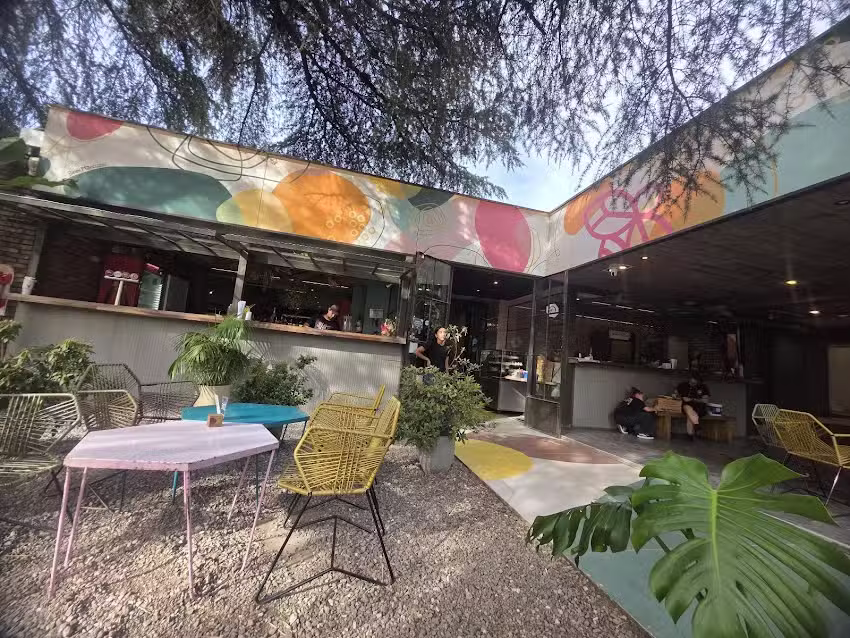 Abeja negra rest&oacute;