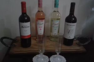Ale vinos wines