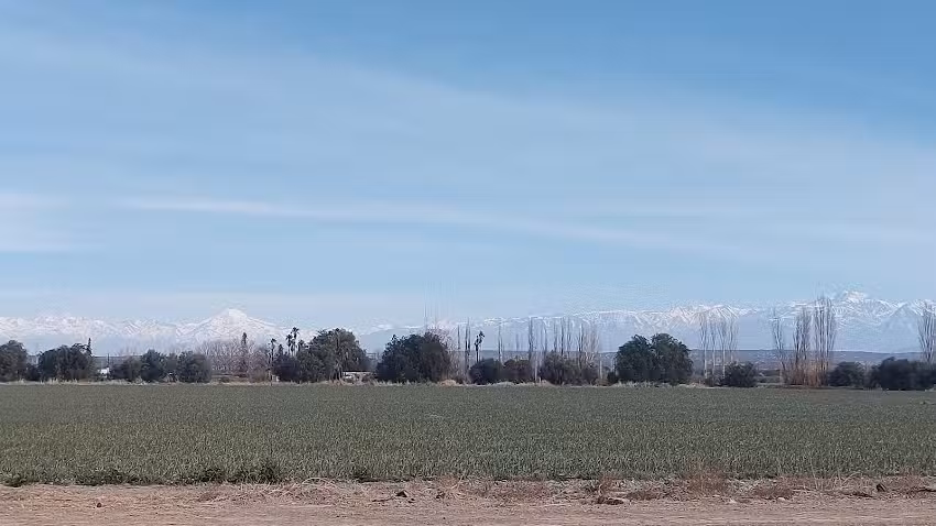 Almac&eacute;n Bar- Angelina