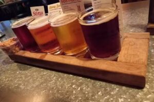 Antares Plaza Houssay