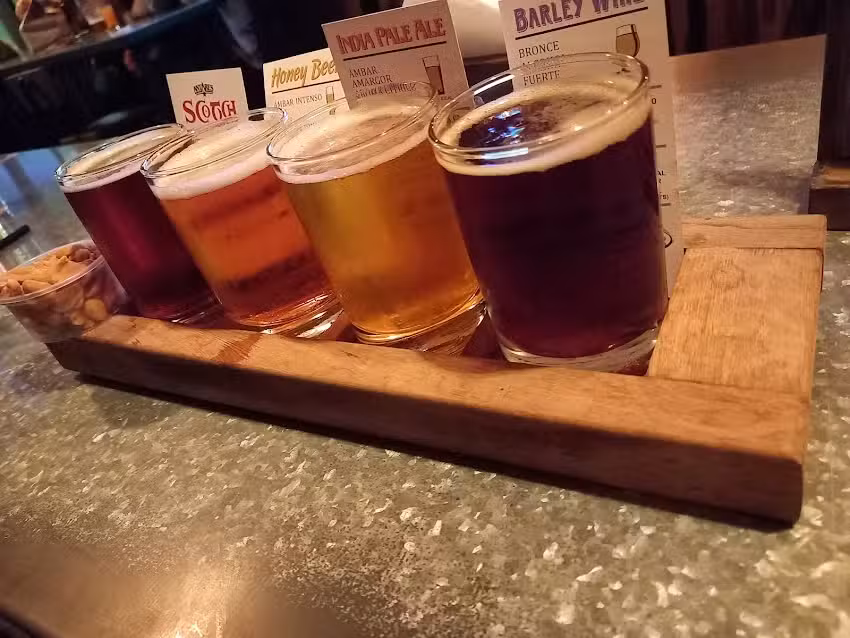 Antares Plaza Houssay