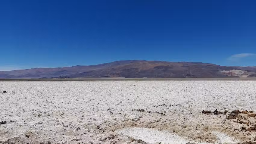 Antofalla catamarca