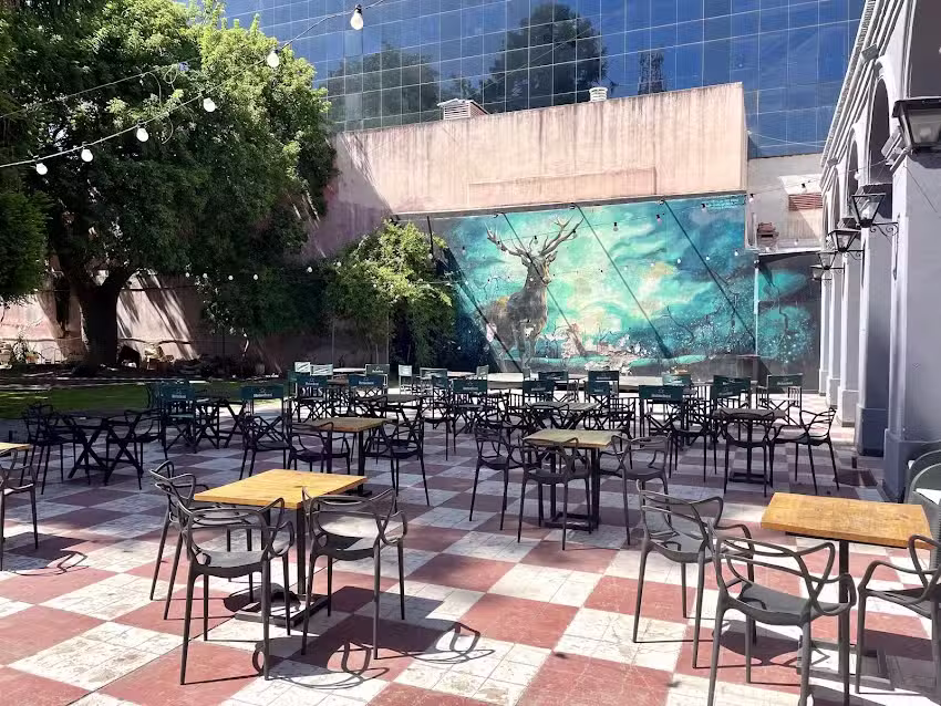 Bar Caf&eacute; El Ciervo