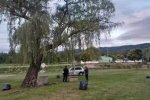 Bar comedor heladeria