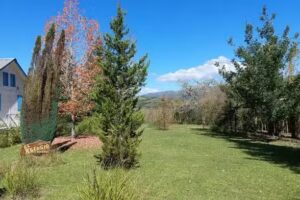 Bar Comedor &ldquo;La Curva&rdquo;