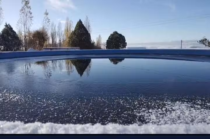 Bar comedor la &ldquo;morena&rdquo;