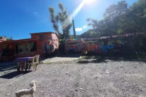 Bar de la Monta&ntilde;a