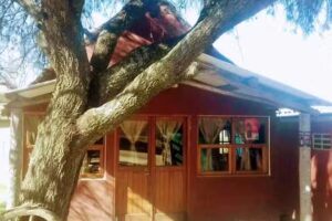 Bar El Algarrobo (La Pancha)