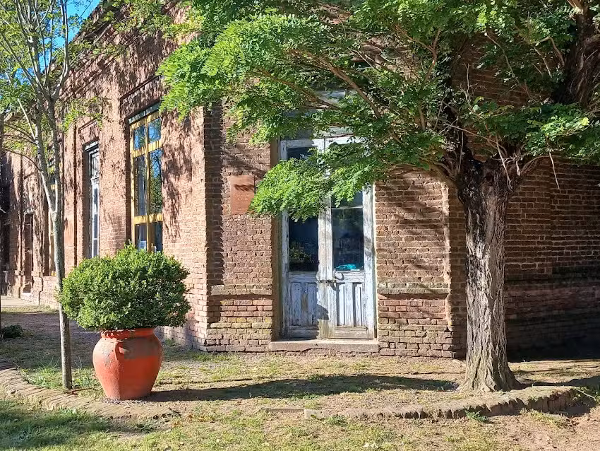 Bar &ldquo;Lo de Elida&rdquo;