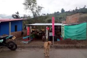 Bar Los Hermanos Ram&iacute;rez