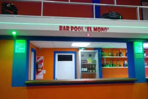 BAR- POOL EL MONO
