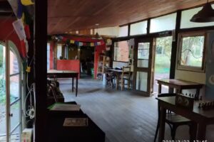 BAR SOCIAL Casa en el Bosque