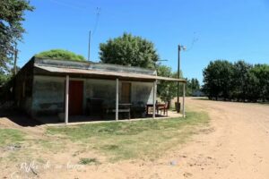 Bar y Despensa &ldquo;La Curva&rdquo;