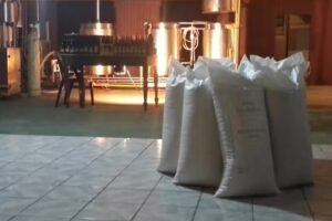 Bardonekia Cerveza Artesanal