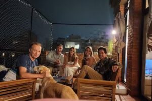 Barking Dogs Roof Bar