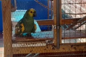 Barrio Lomas de Tafí