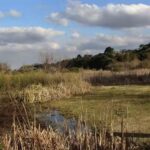 BARRIO PARQUE EL CAZADOR