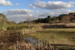 BARRIO PARQUE EL CAZADOR