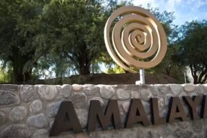 Bodega Amalaya & Wine Bar