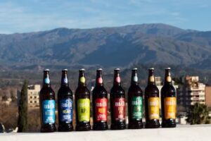 Bolsa Verde Comercializadora