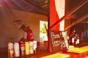 Bosco, Parrilla Sandwichera