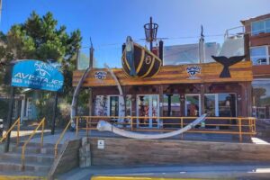 Bottazzi Avistaje de Ballenas/ Whale Watch