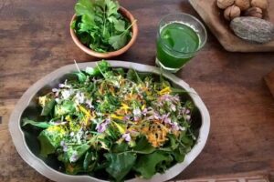 Bucari Cerveza Artesanal