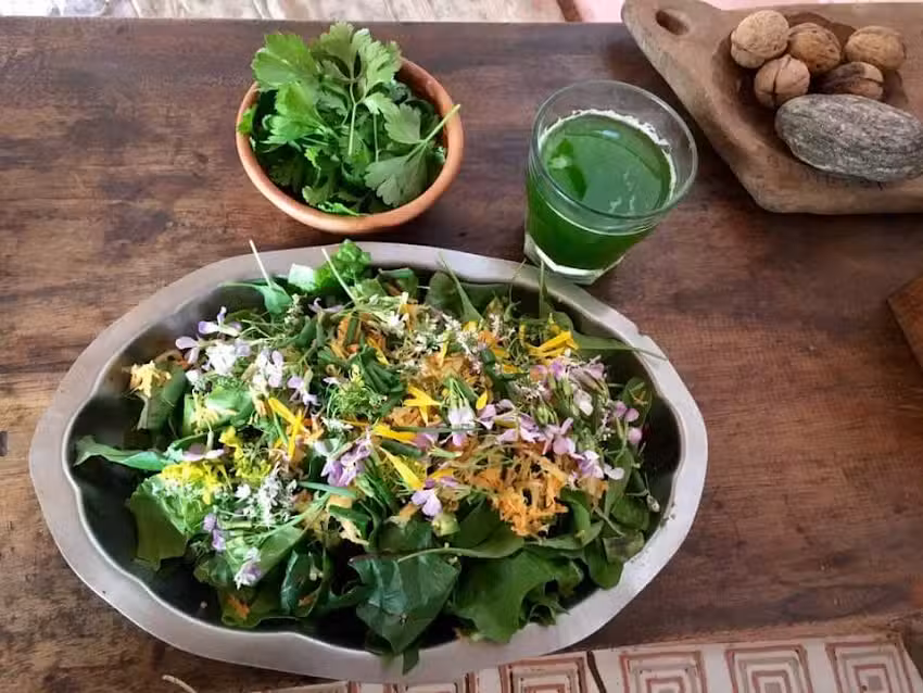 Bucari Cerveza Artesanal