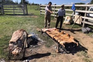 Campo Fogon de Tigre