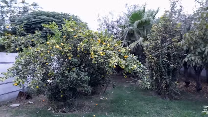 Carro el santiague&ntilde;ito