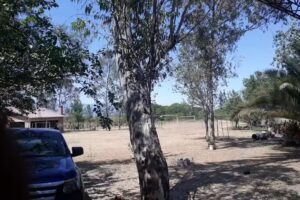 Casa del Abuelo Manuel