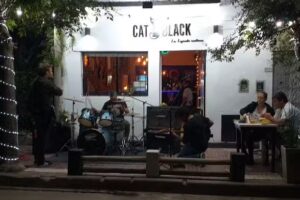 Cat Black