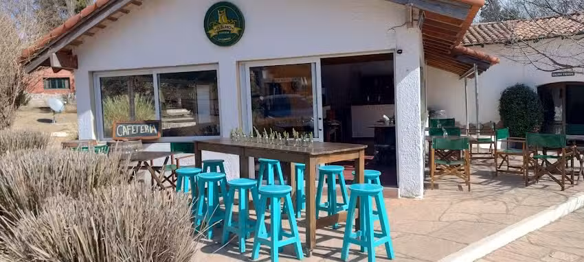 Cervecer&iacute;a El B&uacute;ho