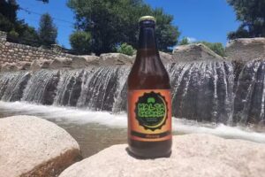 Cerveceria Malta Sagrada