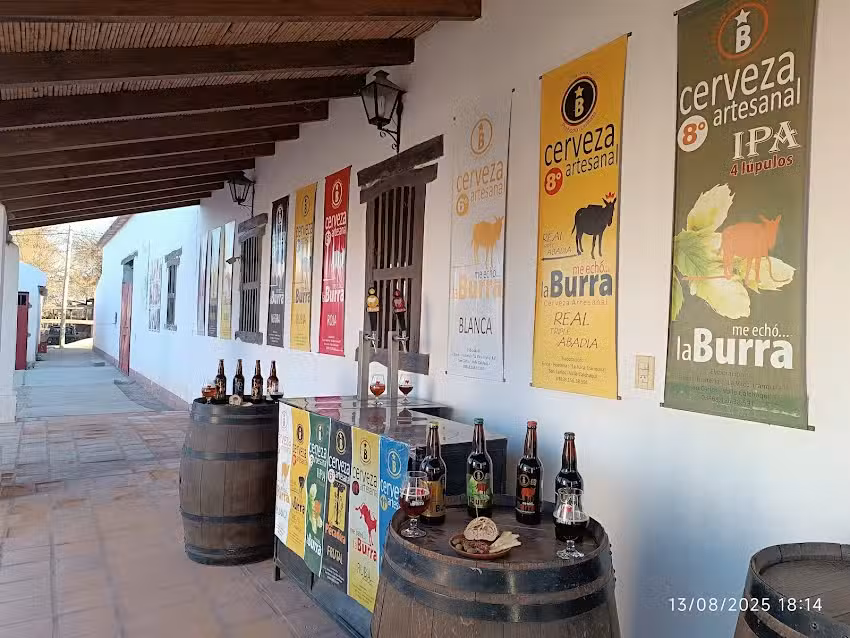 CERVECERIA ME ECHO LA BURRA