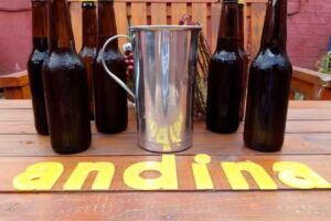 Cerveza Artesanal Andina