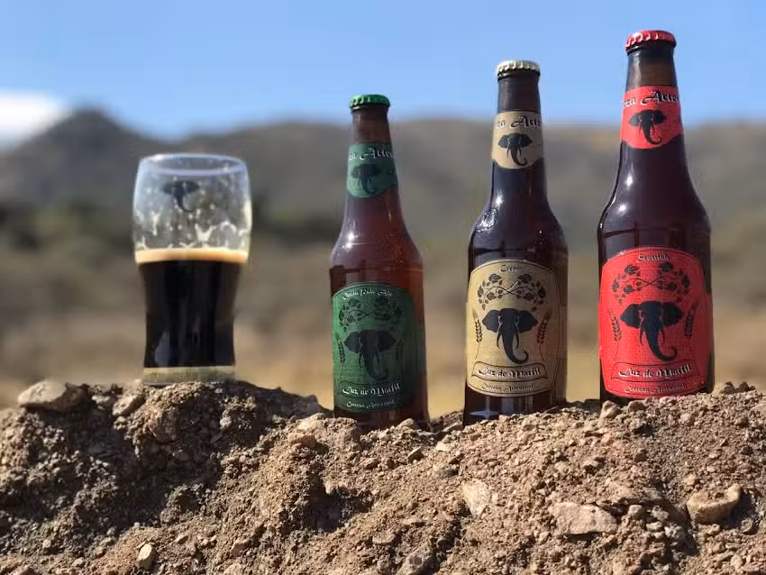 𝘾𝙀𝙍𝙑𝙀𝙕𝘼 𝙇𝙐𝙕 𝘿𝙀 𝙈𝘼𝙍𝙁𝙄𝙇