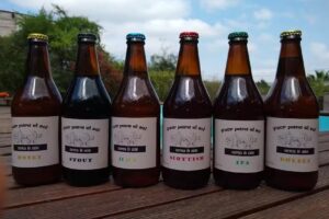 Cerveza Peor para el sol