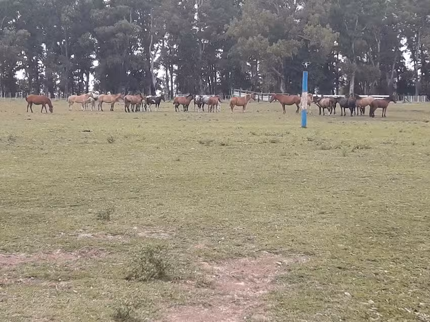 Chacra Juan Manuel De Rosas