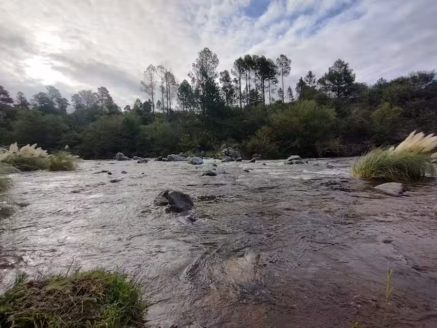 Chiringuito playa bar