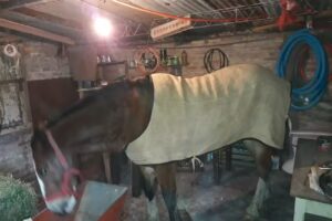 Club Social y Recreativo