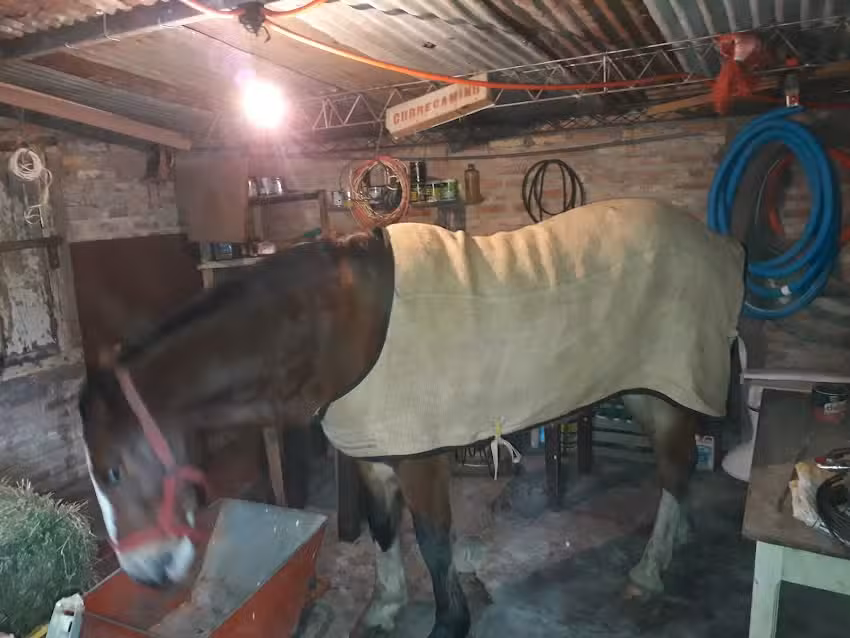 Club Social y Recreativo