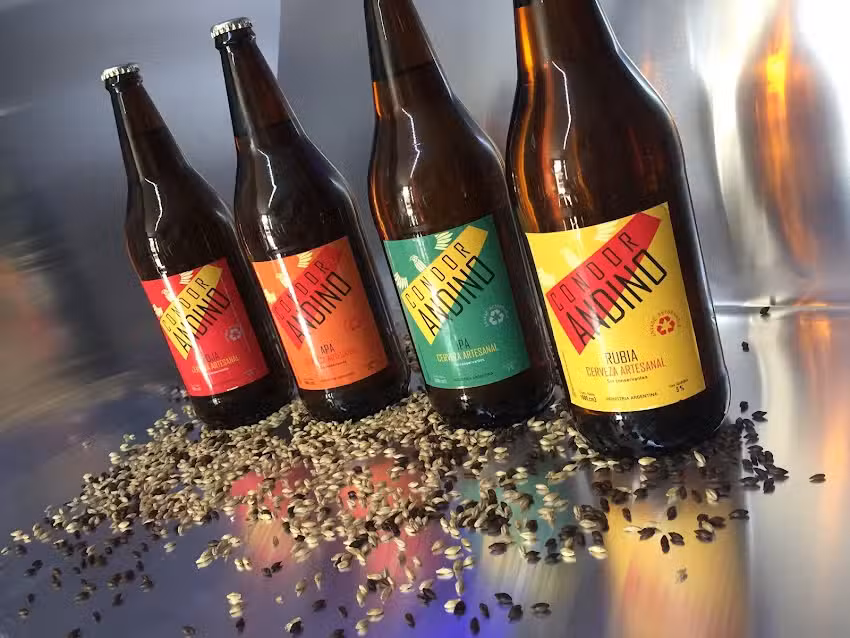 C&oacute;ndor Andino