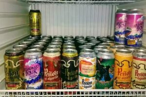 C&oacute;ndor Huasi &ndash; Terrazas del Quillinzo