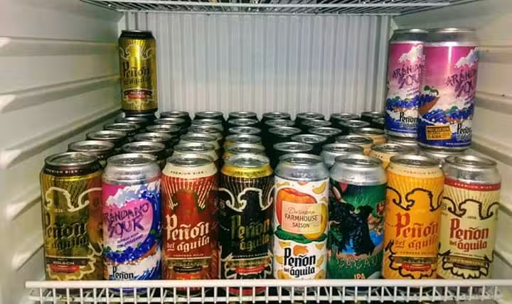 C&oacute;ndor Huasi &ndash; Terrazas del Quillinzo