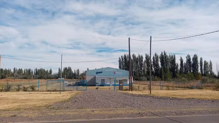 Distribuciones El chango srl suc. Lamarque