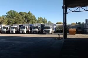 Distribuidora Gama – Alestemar SA