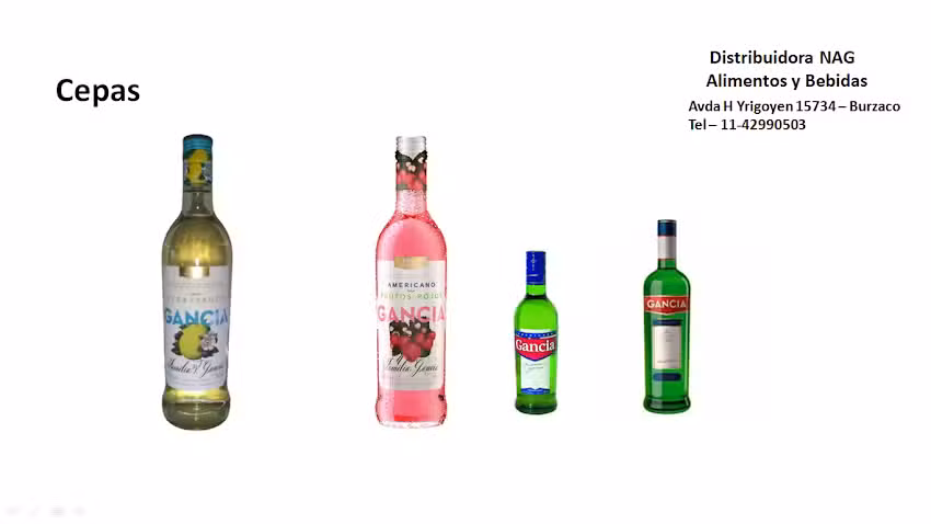 Distribuidora N.A.G. S.A.